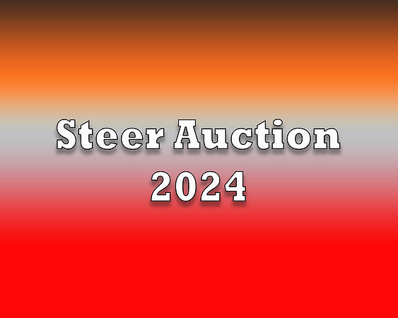 Steer 2024 copy