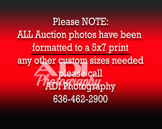 Print format information