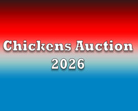 Chickens Auction 2026 copy