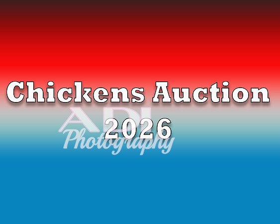 Chickens Auction 2026 copy