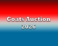 Goats Auction 2026 copy