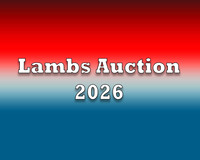 Lambs Auction 2026 copy