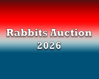 Rabbits Auction 2026
