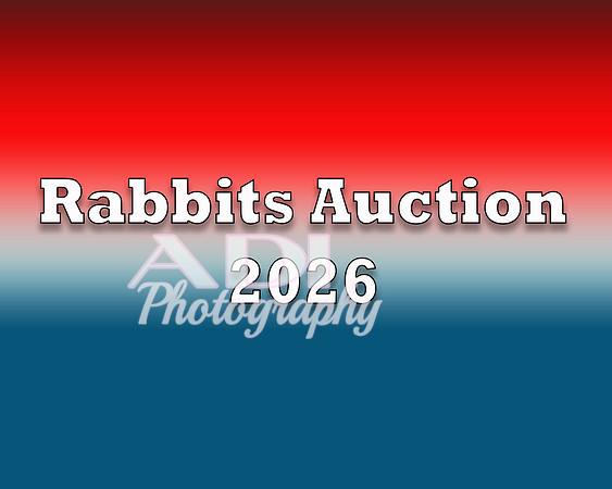Rabbits Auction 2025 copy