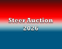 Steer Auction 2026