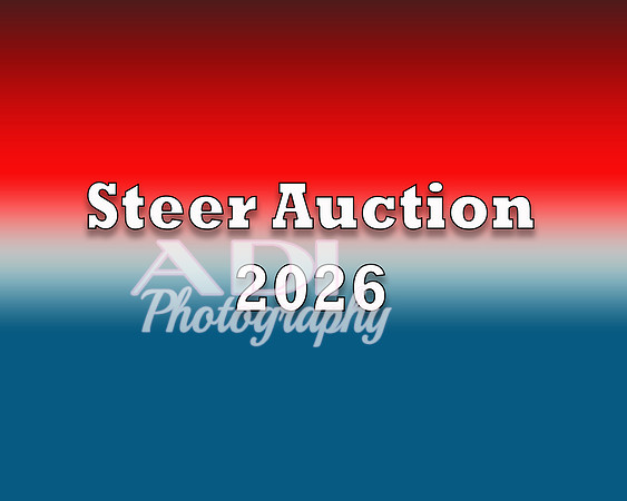 Steer Auction 2026 copy