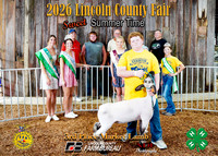 7959 Jaxson Tracy