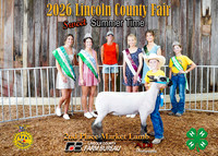 7958 Colt Comer