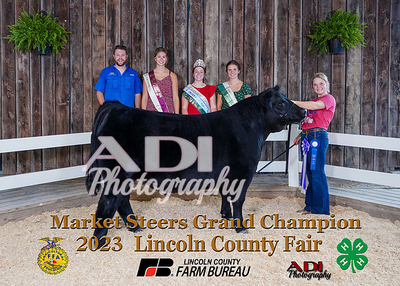 3693 Alyssa Holmes Grnd Champion copy