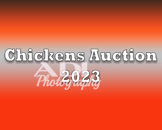 Chickens 2023 copy