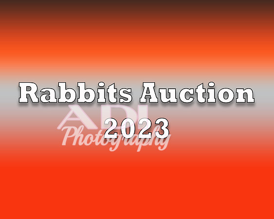 Rabbits 2023 copy