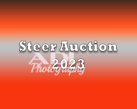 Steer 2023 copy