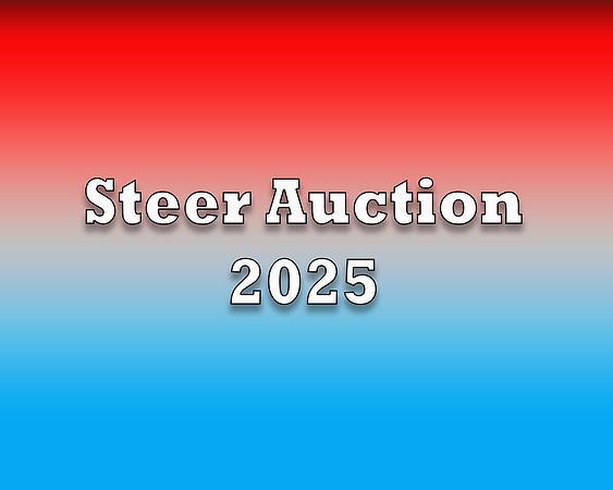 Steer Auction 2025 copy