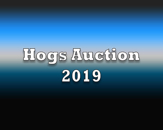 Hogs 2019