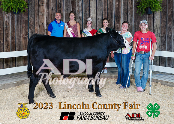Levi Mense 3723 steer