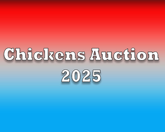 Chickens Auction 2025 copy