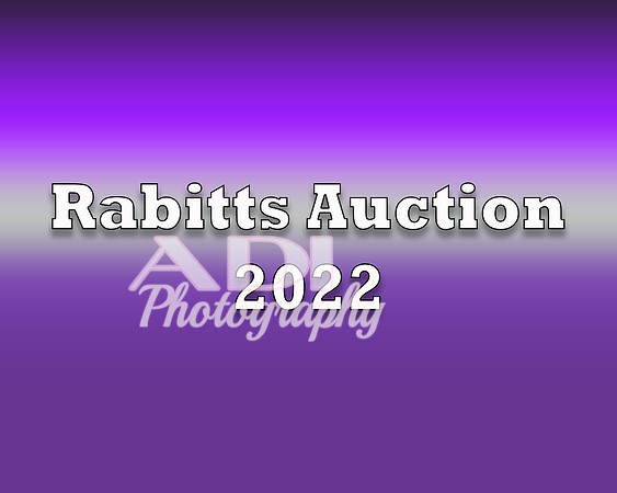 Rabbits 2022 copy