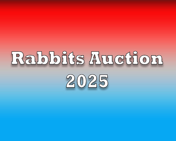 Rabbits Auction 2025 copy
