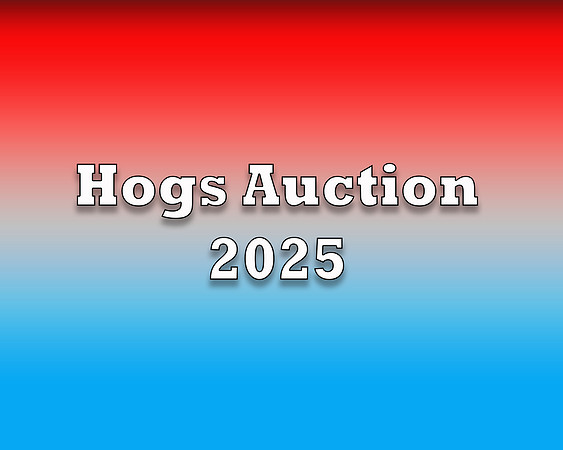 Hogs Auction 2025 copy