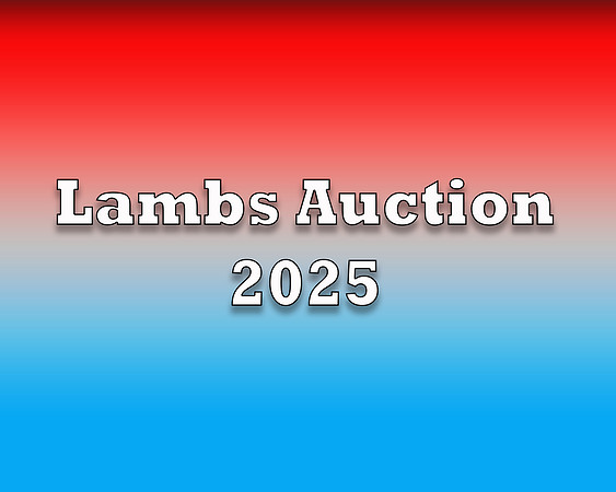Lambs Auction 2025 copy
