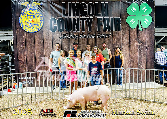 0689 Lincoln Downs